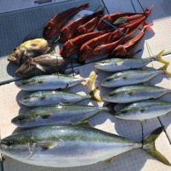 ふじしめ丸 釣果