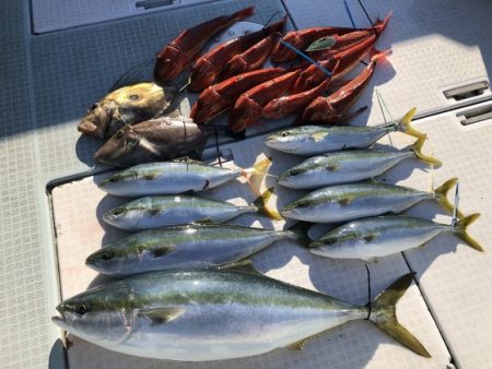 ふじしめ丸 釣果