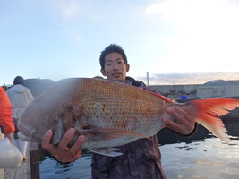 久里浜黒川本家 釣果