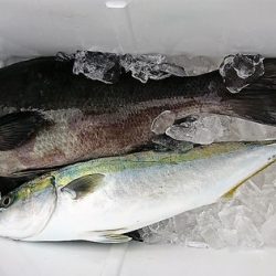 しば渡船 釣果