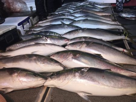 幸風（さちかぜ） 釣果