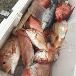 寿裕 （YOSHIHIRO） 釣果