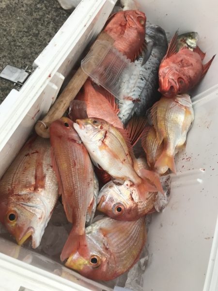 寿裕 （YOSHIHIRO） 釣果