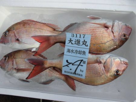 大進丸(新潟) 釣果