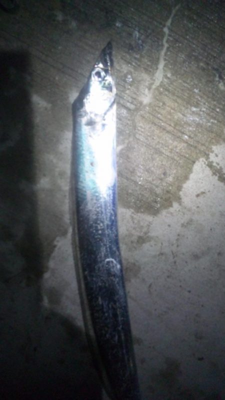 みんな頑張ってます