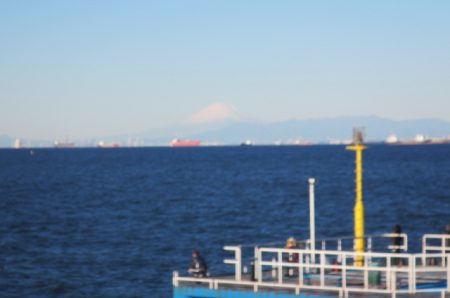 オリジナルメーカー海づり公園(市原市海づり施設) 釣果