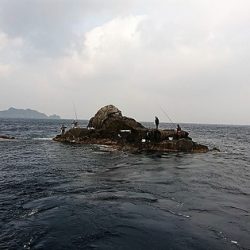 しば渡船 釣果