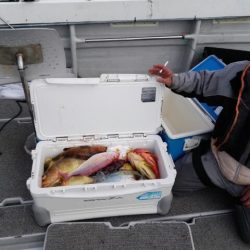 第二大福丸 釣果