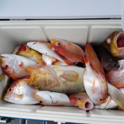 第二大福丸 釣果