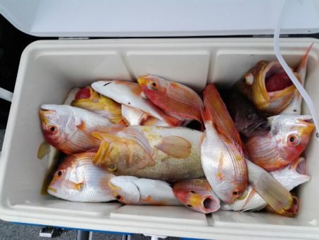 第二大福丸 釣果