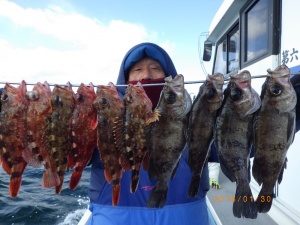 石川丸 釣果