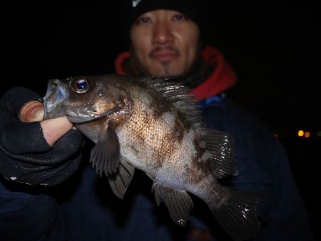 TOPGUN名古屋 釣果
