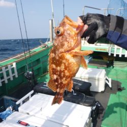 真祐丸 (しんゆうまる) 釣果