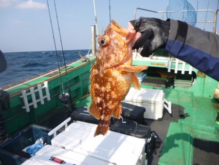 真祐丸 (しんゆうまる) 釣果