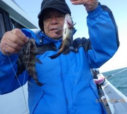 石川丸 釣果