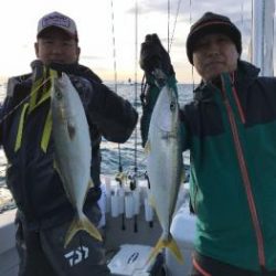 シーマジカル 釣果