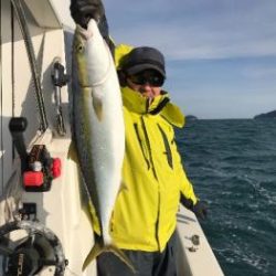 シーマジカル 釣果