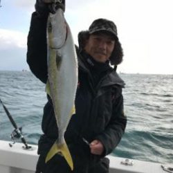 シーマジカル 釣果