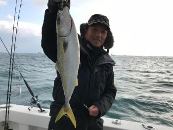 シーマジカル 釣果