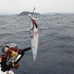 開進丸 釣果