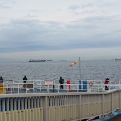 オリジナルメーカー海づり公園(市原市海づり施設) 釣果