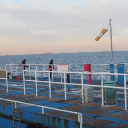 オリジナルメーカー海づり公園(市原市海づり施設) 釣果