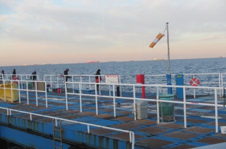 オリジナルメーカー海づり公園(市原市海づり施設) 釣果