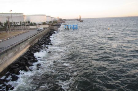 オリジナルメーカー海づり公園(市原市海づり施設) 釣果