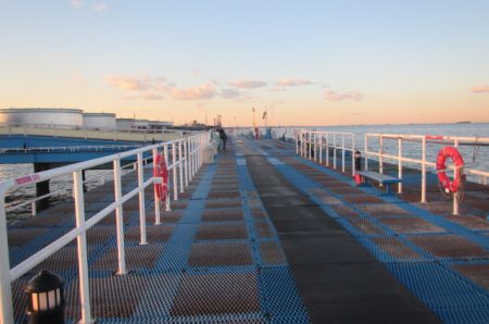 オリジナルメーカー海づり公園(市原市海づり施設) 釣果