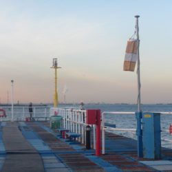 オリジナルメーカー海づり公園(市原市海づり施設) 釣果