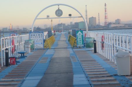 オリジナルメーカー海づり公園(市原市海づり施設) 釣果