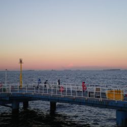 オリジナルメーカー海づり公園(市原市海づり施設) 釣果