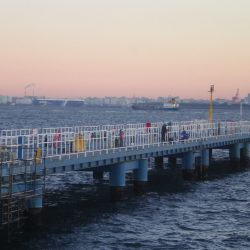 オリジナルメーカー海づり公園(市原市海づり施設) 釣果