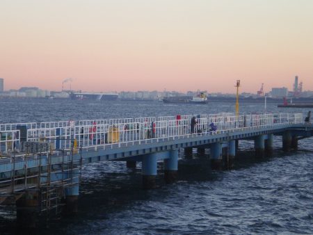 オリジナルメーカー海づり公園(市原市海づり施設) 釣果