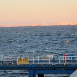 オリジナルメーカー海づり公園(市原市海づり施設) 釣果