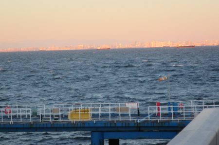 オリジナルメーカー海づり公園(市原市海づり施設) 釣果
