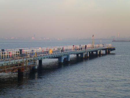 オリジナルメーカー海づり公園(市原市海づり施設) 釣果