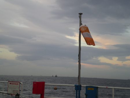 オリジナルメーカー海づり公園(市原市海づり施設) 釣果