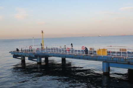 オリジナルメーカー海づり公園(市原市海づり施設) 釣果