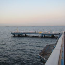 オリジナルメーカー海づり公園(市原市海づり施設) 釣果