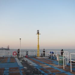 オリジナルメーカー海づり公園(市原市海づり施設) 釣果