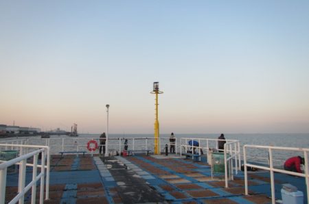 オリジナルメーカー海づり公園(市原市海づり施設) 釣果