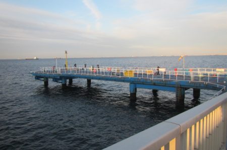 オリジナルメーカー海づり公園(市原市海づり施設) 釣果
