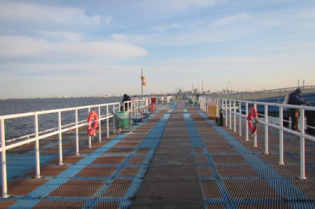 オリジナルメーカー海づり公園(市原市海づり施設) 釣果