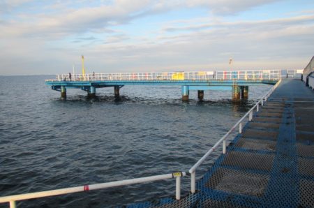 オリジナルメーカー海づり公園(市原市海づり施設) 釣果