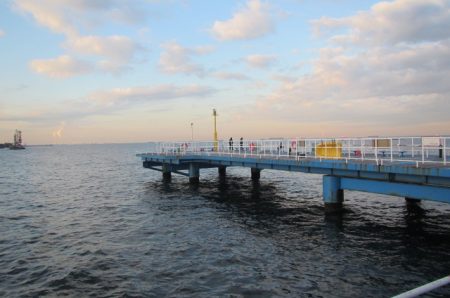 オリジナルメーカー海づり公園(市原市海づり施設) 釣果