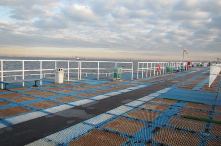 オリジナルメーカー海づり公園(市原市海づり施設) 釣果