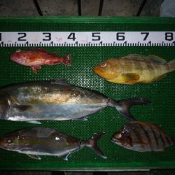 海山フィッシングセンター 釣果