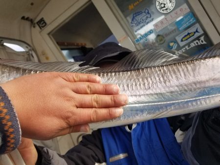 遊漁船　ニライカナイ 釣果