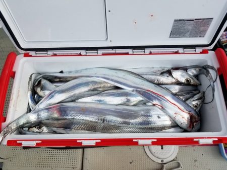 遊漁船　ニライカナイ 釣果